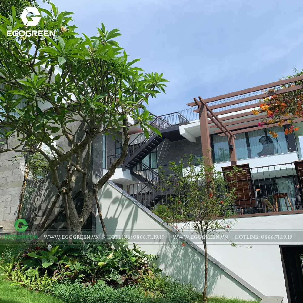 Góc nào cũng đẹp, cũng chill...